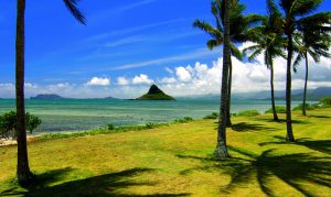 廣州到夏威夷國際物流：可靠的貨運(yùn)解決方案-鑫漢物流